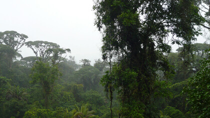 Parque Braulio Carrillo