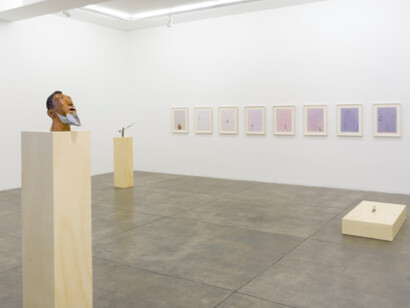 Instances of Seeing, Exhibition view. Courtesy of Fortes D’Aloia & Gabriel