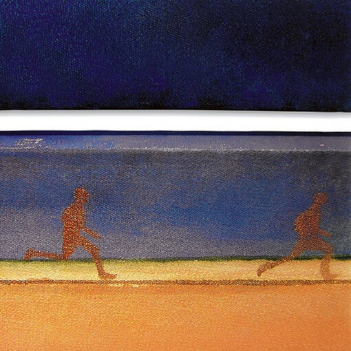 Renata Barros. Untitled. 2003. Diptych, Acrylic on canvas. 60 x 180 cm