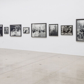 Gerard Byrne. Beasts, installation view. Courtesy of Kerlin Gallery