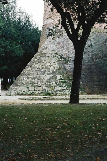 Il giardino