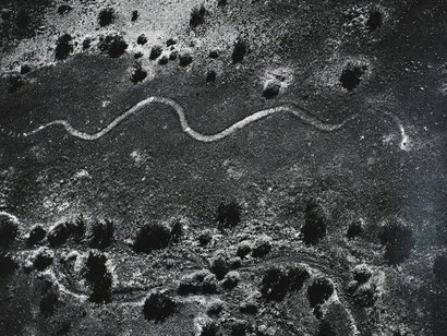 Marilyn Bridges (American, born 1948), Parker Rattlesnake, Parker, Arizona, 1983, Gelatin silver print. Gift of Garrett Gunderson, 2015 (2015.16.12).