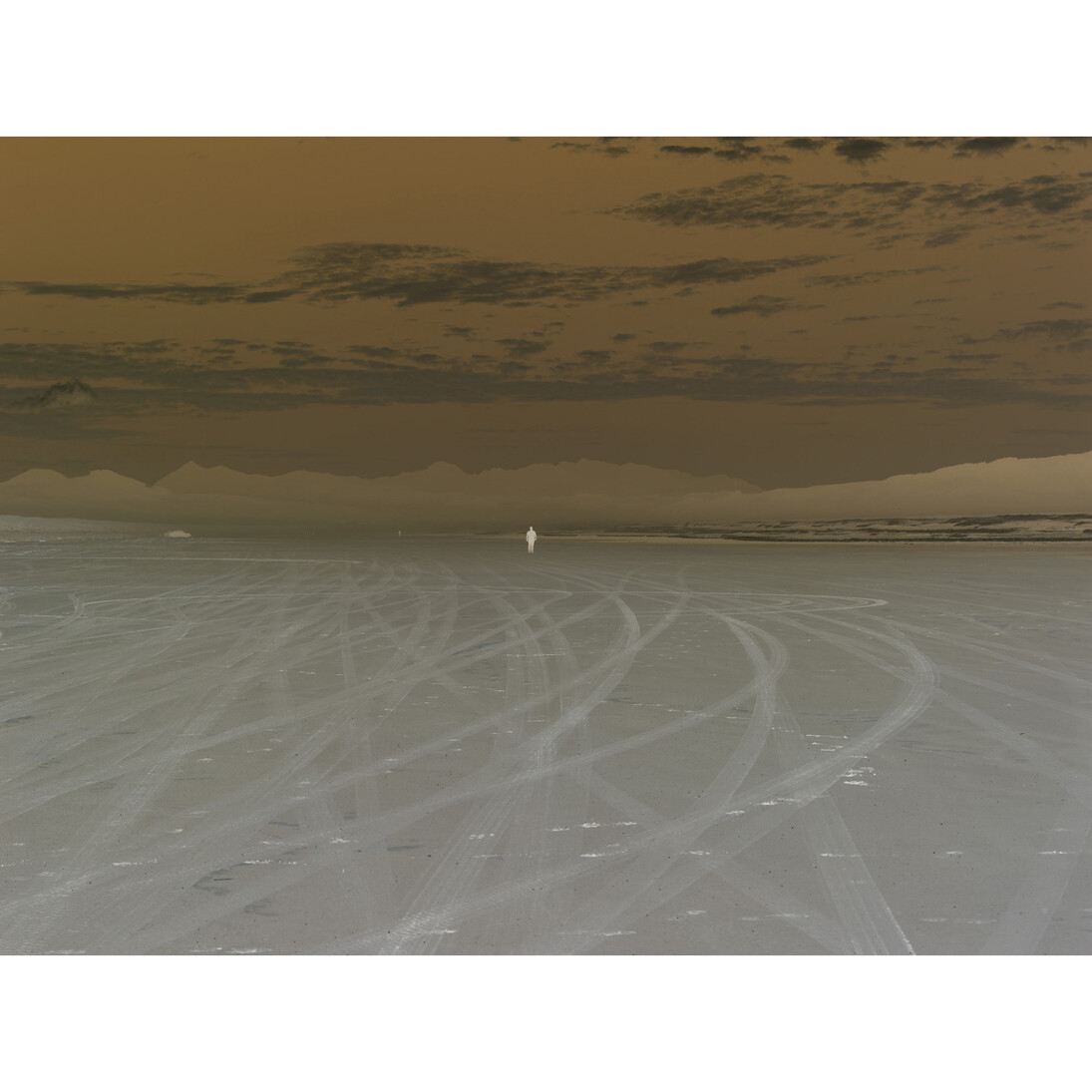 Richard Misrach, Untitled (9485 #FC), 2008, © Richard Misrach, courtesy Fraenkel Gallery, San Francisco