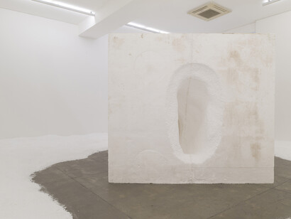 Cubo de isopor e bolinhas de isopor [Styrofoam
cube and styrofoam beads] Dimensões
variáveis [Variable dimensions] Cubo [Cube]:
225 x 248 x 196 cm,  Vista da exposição na [Exhibition view at] Galeria Fortes Vilaça, 2015