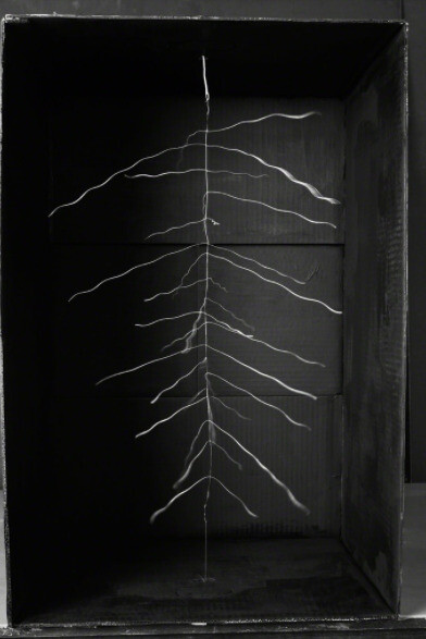 Electricities by David Goldes. Courtesy of Damiani