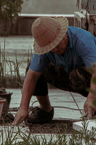 A vida de Peu reflete a de muitos trabalhadores dedicados que, após anos de serviço, enfrentam dificuldades sem o devido reconhecimento ou apoio. É essencial refletir sobre os caminhos que escolhemos e como nos preparamos para o futuro