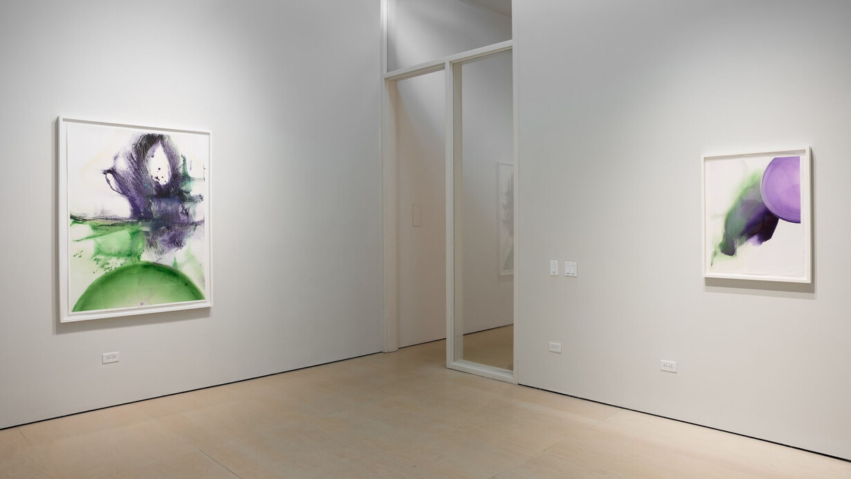 Angelina Nasso, Venus sequence, exhibition view. Courtesy of McClain Gallery 