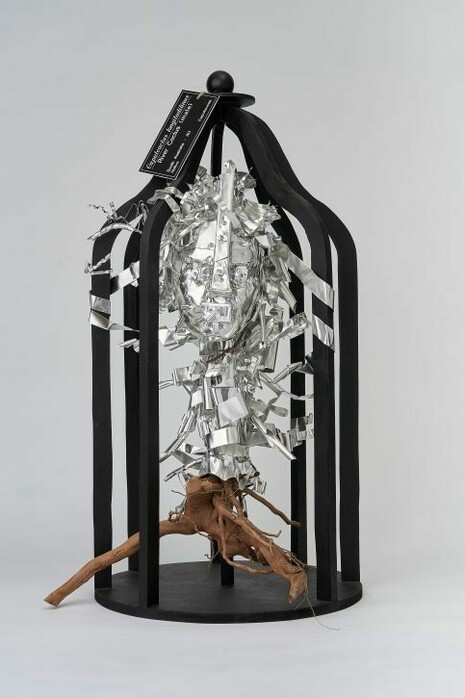 Giuseppe Matteo Pappalardo, Herbarium X033, 2024. Courtesy of BMGArt