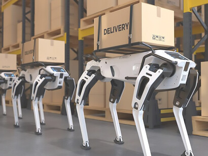 Revolutionizing factory logistics: Concept of a robotic delivery dog efficiently transporting goods within a manufacturing facility
