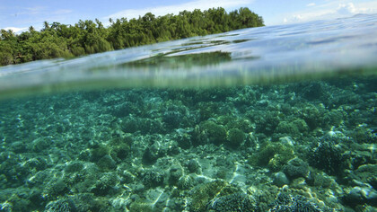 Il riscaldamento globale delle acque 