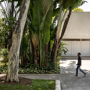 Luciana Brito Gallery