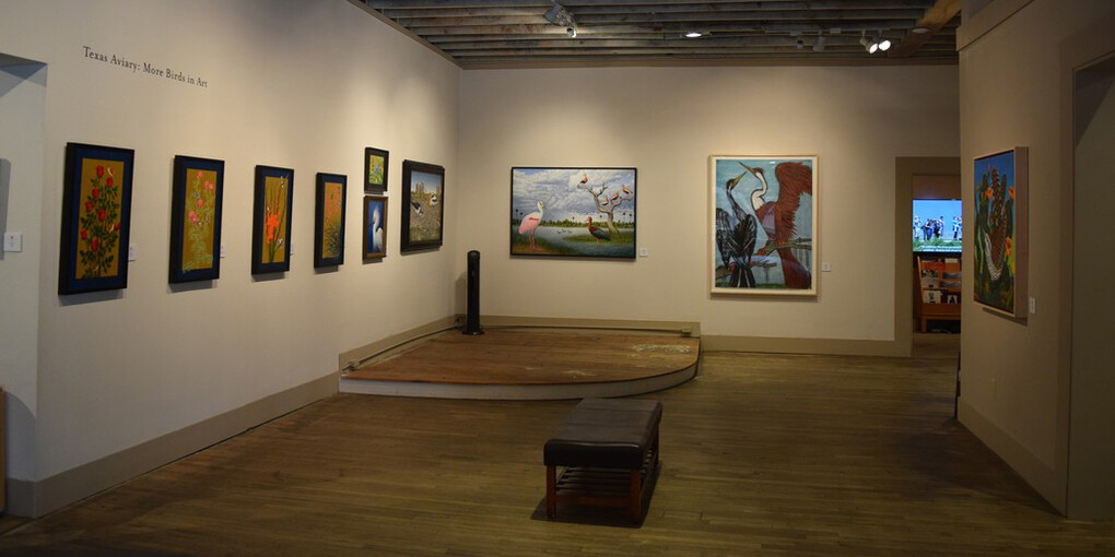 Texas Aviary. Courtesy of  William Reaves | Sarah Foltz Fine Art