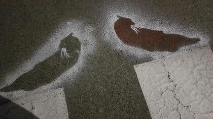 Viviamo in bilico tra un minimo passo in avanti e un bollettino nefasto