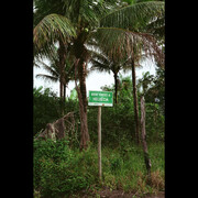 Denise Bertschi. Courtesy of Aargauer Kunsthaus