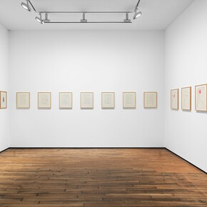 Vue d'exposition, Daniel Dezeuze, Mesoamerica © Adrien Millot. Courtesy of Templon Paris