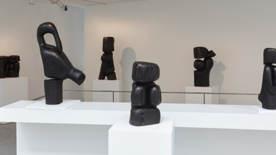 Simplicité - Nature - Sensualité. Courtesy of Galerie Nathalie Obadia