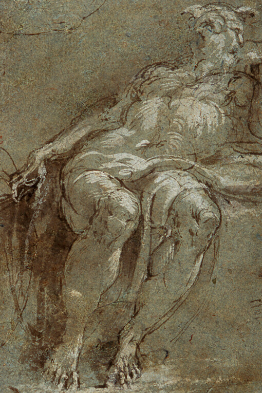 Parmigianino, Study for Saint Jerome, about 1526-7. Courtesy of The National Gallery