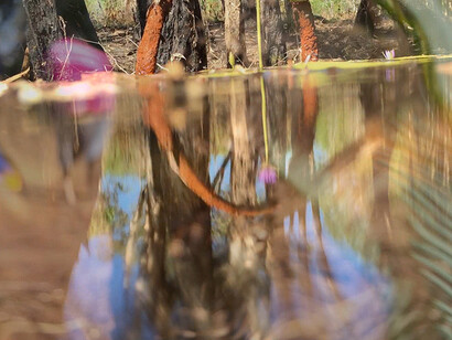 Karrabing Film Collective. Courtesy of IMA