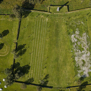 Outdoor Matters. Courtesy of The National Gallery