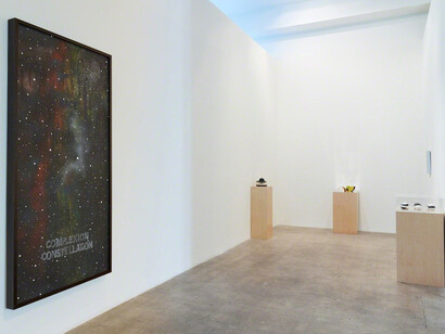 Joe Ray. Complexion Constellation, Exhibition view. Courtesy of Diane Rosenstein