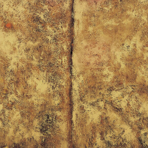 Untamed Colour. Courtesy of Montreal Museum of Fine Arts