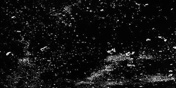 Earth Works. Courtesy of Norton Museum of Art