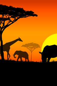 Animales en la puesta del sol