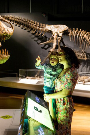 Tyrannosaurs. Courtesy of National Museum of Scotland