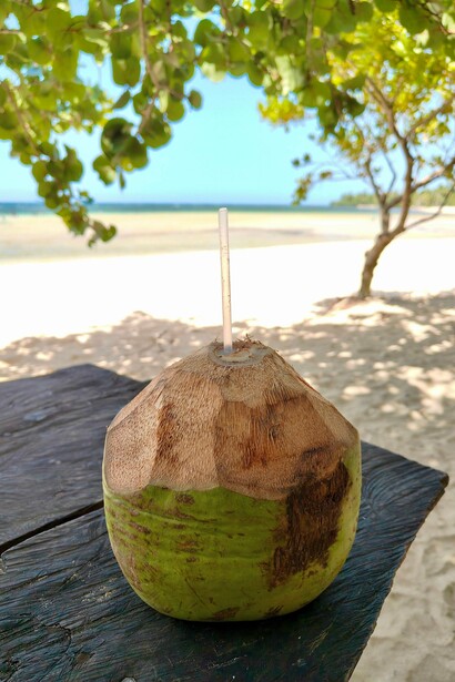 O coco verde, a sombra das árvores, a areia e o mar compõem uma cena típica de descanso à beira-mar. Em Ilha Grande, o contato com a natureza é também uma experiência sensorial que convida à pausa e à transformação