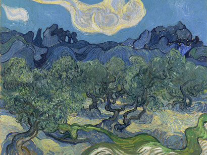 Vincent van Gogh, Olivi