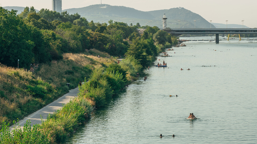 The Danube island. 13 miles of freedom. Courtesy of Wien Museum