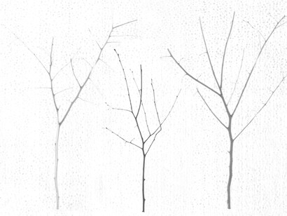 Giulio Cerocchi, Territori innevati 2  (dettaglio)