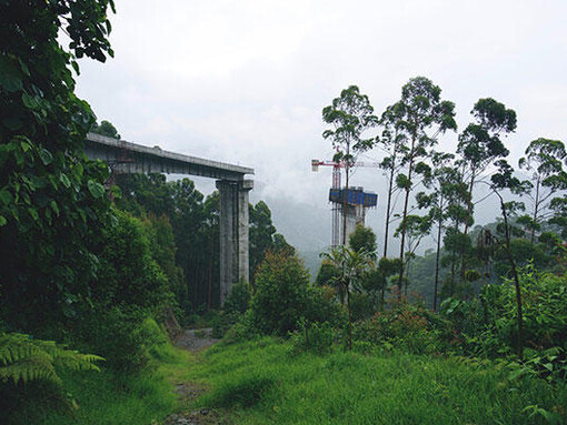 Apichatpong Weerasethakul + Hisakado Tsuyoshi. Courtesy of Mori Art Museum