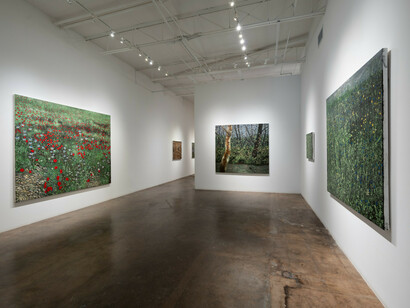 Paul Manes, Into the weeds, exhibition view. Courtesy of Cris Worley Fine Arts