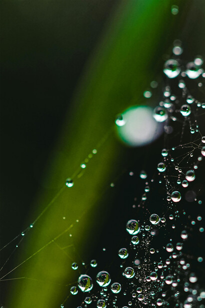 Si prevede che la domanda globale di acqua (in prelievi idrici) aumenterà del 55% entro il 2050 (Oms)