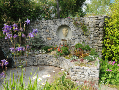 Ai piedi del muro in pietra, Carl Wright ha ambientato una collezione di sedum e semprevivi e di piccole piante alpine tra cui numerose specie di primula. Foto di Enzo Valenti