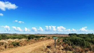 Imaginamos as razões de termos seguido na trilha se as informações no site diziam que as trilhas para ver os cânions eram três, duas pela parte alta e uma pela parte baixa e nenhuma delas tinha o nome de Trilha das Camisas. Concluímos que foi a empolgação da vista! O que nos restava? Fazermos nosso lanche ali mesmo no entroncamento do “Fim da Trilha” e depois mais algumas sessões de alongamento para enfrentarmos o retorno de quatro quilômetros