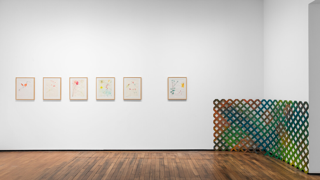 Exhibition View, Daniel Dezeuze, Mesoamerica © Adrien Millot. Courtesy of Templon Paris