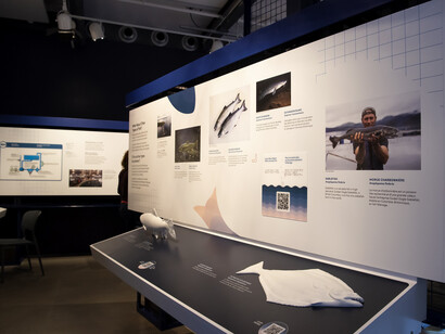 Aquaculture, farming the waters, exhibition view. Courtesy of Ingenium. The Canada Agriculture and Food Museum