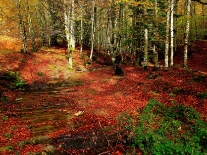 Navarra. Otoño en el valle de Salazar