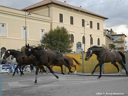 Horse racing in Ronciglione