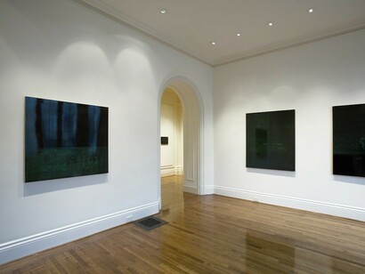 Kate Shepherd. Battlezone, Exhibition view. Courtesy of Anthony Meier Fine Arts