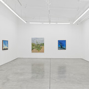 Mira Dancy, Mourning's orbit, exhibition view. Courtesy of Night Gallery