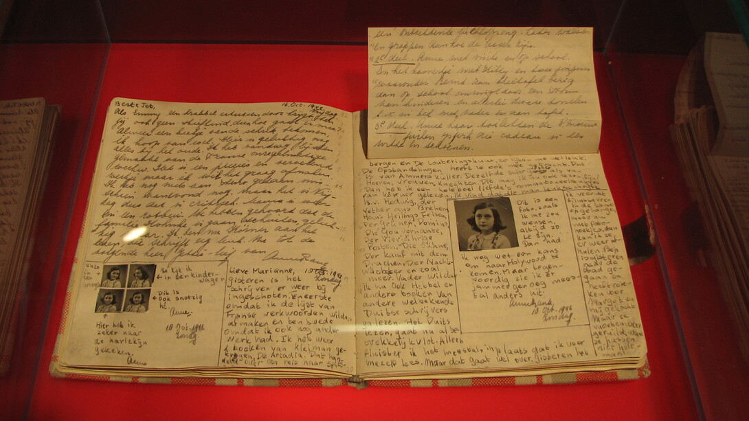 Diário de Anne Frank, considerado um dos mais importantes relatos sobre a Segunda Guerra Mundial. Seu diário sobre o período no esconderijo tornou-se um importante documento histórico sobre o Holocausto. Ao invés de grandes narrativas e de eventos globais, a micro-história se concentra nos detalhes e na vida cotidiana, proporcionando uma visão granular dos processos históricos. Nesse contexto, a biografia serve como uma ferramenta essencial