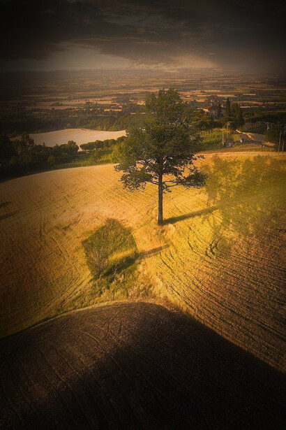 Campagna. La natura domina su tutto. È questo senso di naturalità del territorio, che da sempre porta Gianluca a guardare alla sostenibilità ambientale come una priorità fondamentale della vita, un bene fondamentale di tutti e della terra stessa in primo luogo