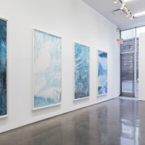 Ecotone. Courtesy of Yossi Milo Gallery 