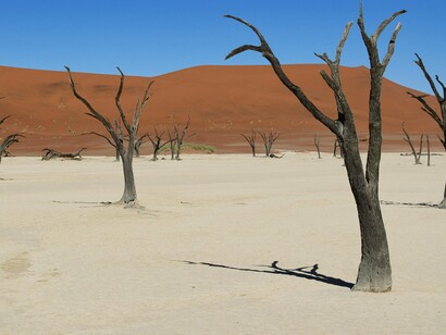 É preciso dizer, com todas as letras: narrativas vazias não salvam florestas. Falácias políticas não regeneram oceanos. Discurso verde sem ação é ecocídio disfarçado