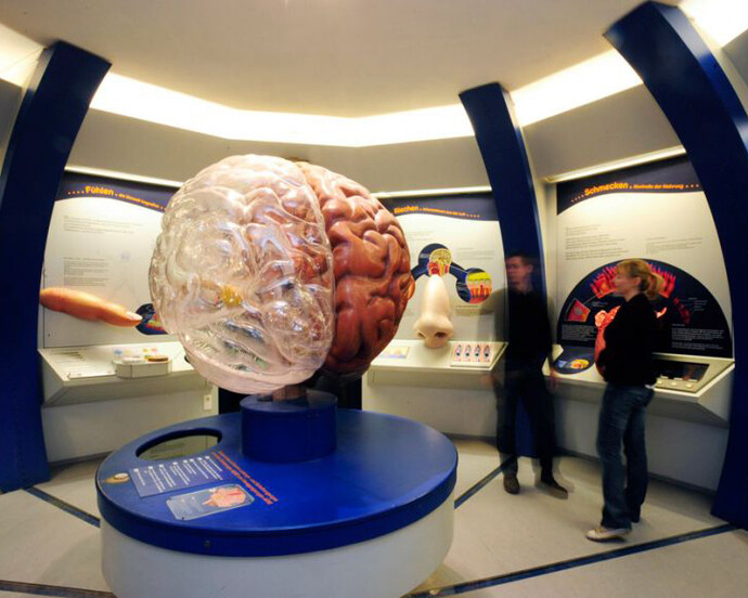 Journey into the Human Body. Courtesy of Haus der Natur 