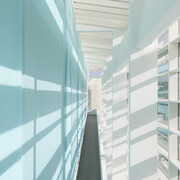 In the Open or in Stealth. Courtesy of Museu d’Art Contemporani de Barcelona (MACBA)