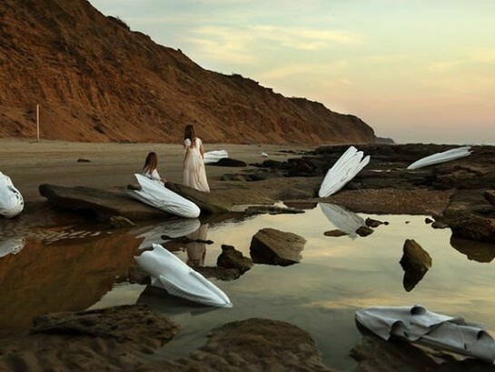 Shony Rivnay, Shells, C-print photograph, 2014